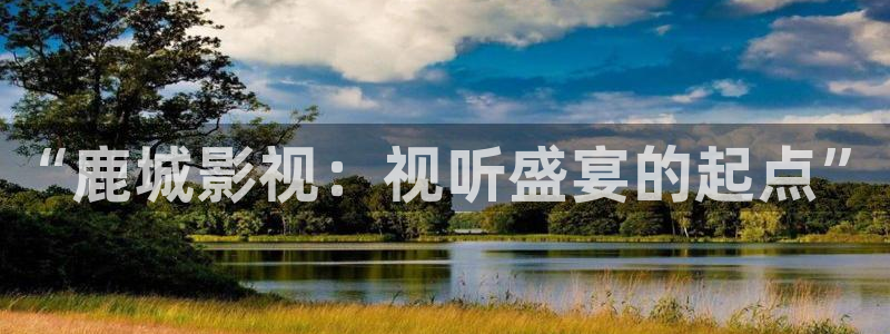 飞马影视
