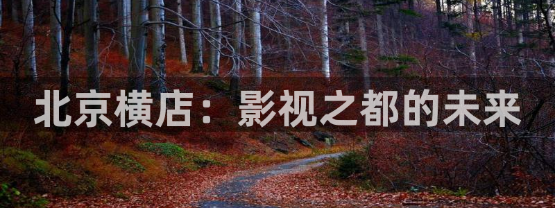 飞马影视