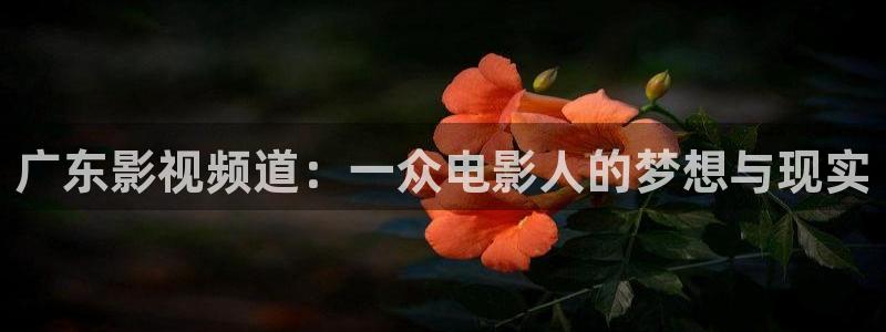 飞马影院：广东影视频道：一众电影人的梦想与现实