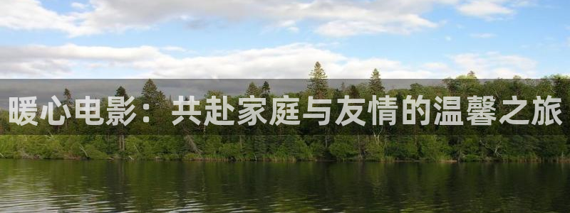 飞马影院免费下载：暖心电影：共赴家庭与友情的温馨之旅