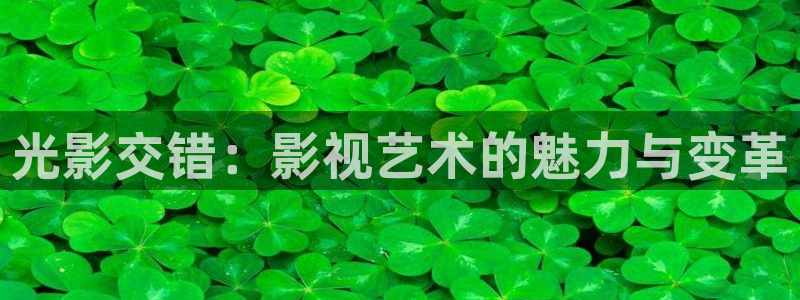 飞马影院：光影交错：影视艺术的魅力与变革