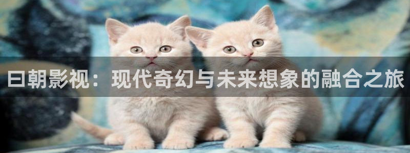 飞马影院免费下载