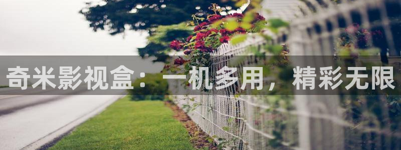 飞马影视电影