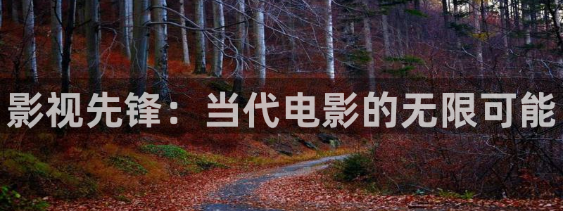 飞马影院：影视先锋：当代电影的无限可能