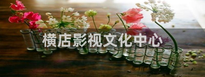 飞马影视：横店影视文化中心