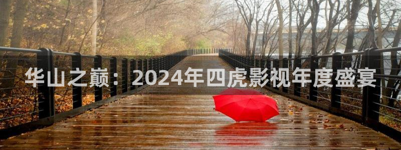 飞马影院下载：华山之巅：2024年四虎影视年度盛宴