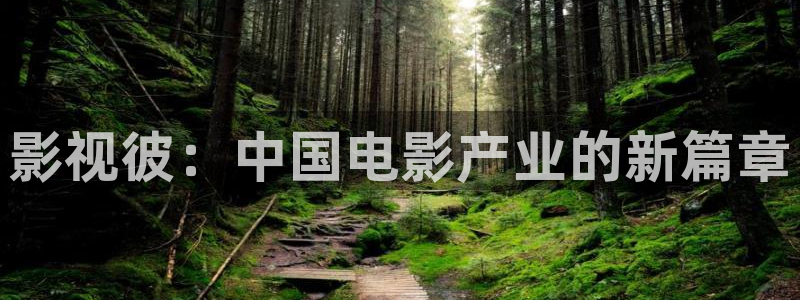 飞马良子影视有限公司：影视彼：中国电影产业的新篇章