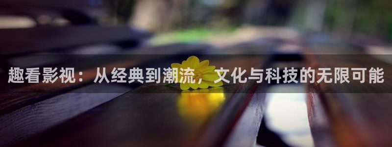 飞马影视：趣看影视：从经典到潮流，文化与科技的无限可能