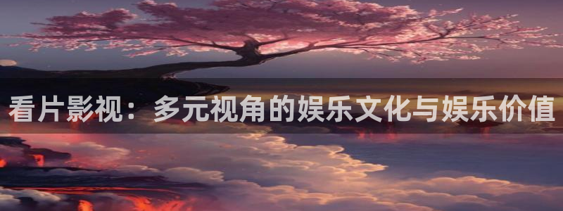 飞马良子影视有限公司