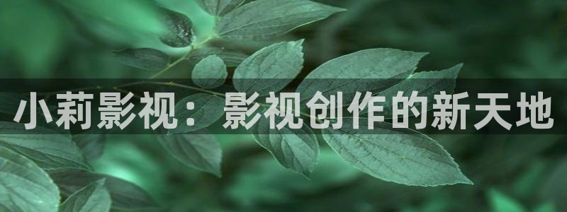 飞马影院免费下载