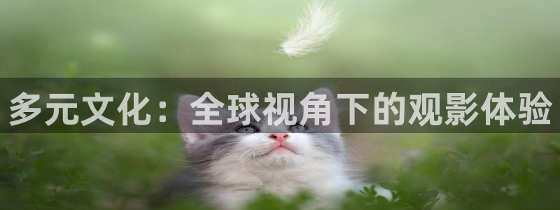 飞马影视电影