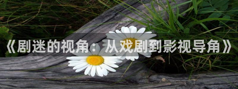 飞马影院在线观看